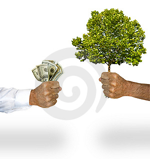 marketing multinivel, mlm, mercadeo en red, network marketing, escuela, empresarios, exito, formacion, capacitacion, negocio, ingreso residual, libertad financiera, flujo de dinero, activos